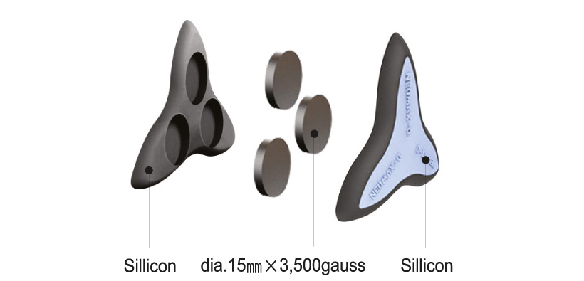 Magnetic silicon patch